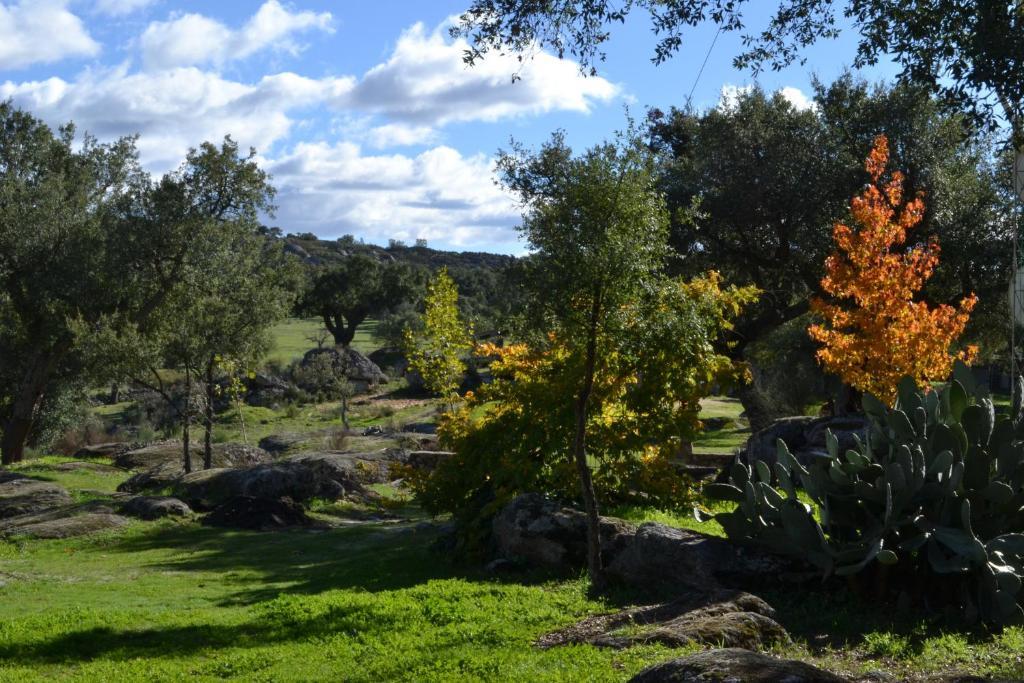 Finca El Cortinal Valencia de Alcántara Zimmer foto